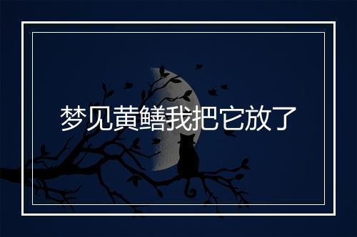 梦见黄鳝我把它放了