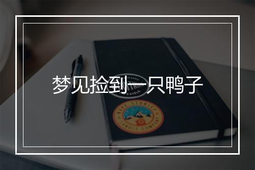 梦见捡到一只鸭子