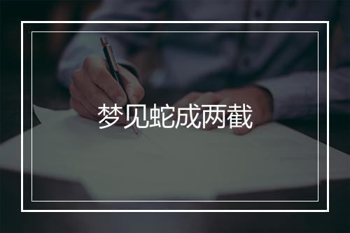 梦见蛇成两截