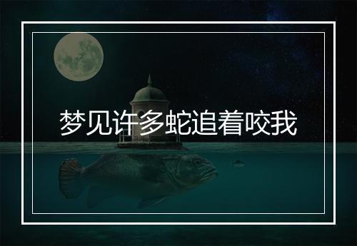 梦见许多蛇追着咬我