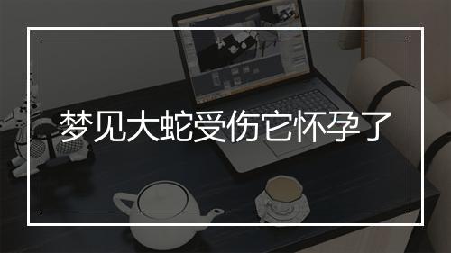 梦见大蛇受伤它怀孕了