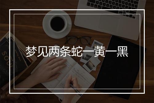 梦见两条蛇一黄一黑