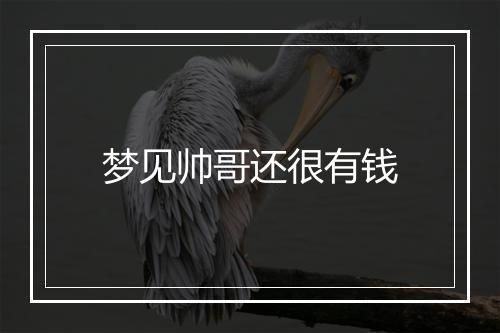 梦见帅哥还很有钱