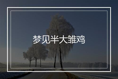 梦见半大雏鸡