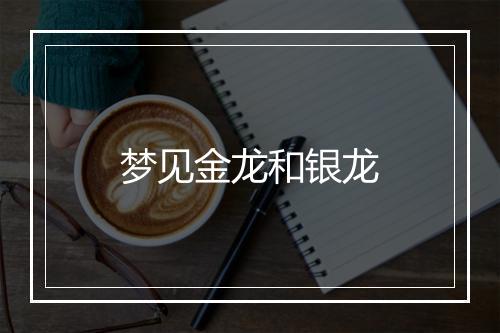 梦见金龙和银龙