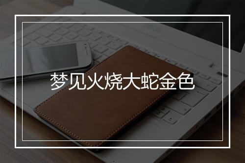 梦见火烧大蛇金色