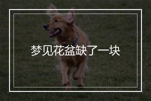 梦见花盆缺了一块