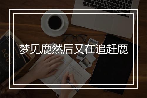 梦见鹿然后又在追赶鹿