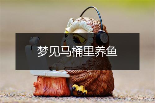 梦见马桶里养鱼