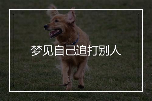 梦见自己追打别人