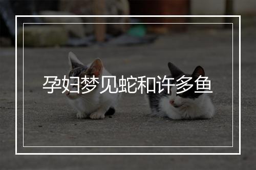 孕妇梦见蛇和许多鱼