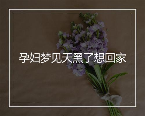 孕妇梦见天黑了想回家