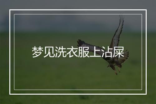 梦见洗衣服上沾屎