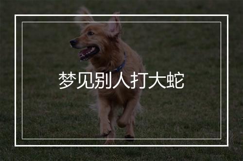 梦见别人打大蛇