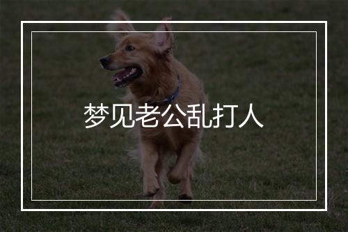 梦见老公乱打人