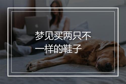 梦见买两只不一样的鞋子