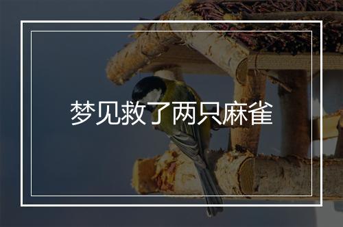 梦见救了两只麻雀