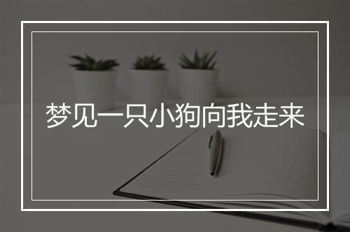 梦见一只小狗向我走来