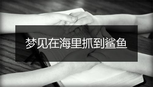 梦见在海里抓到鲨鱼