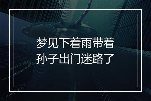 梦见下着雨带着孙子出门迷路了