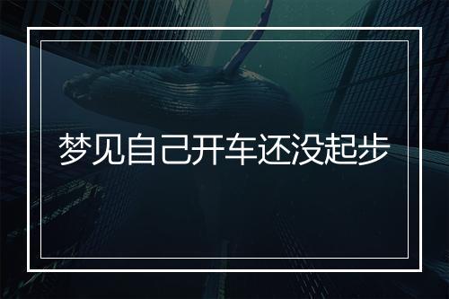 梦见自己开车还没起步