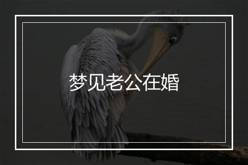 梦见老公在婚