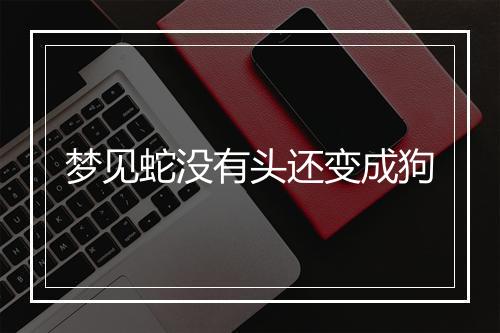 梦见蛇没有头还变成狗