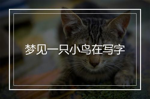 梦见一只小鸟在写字