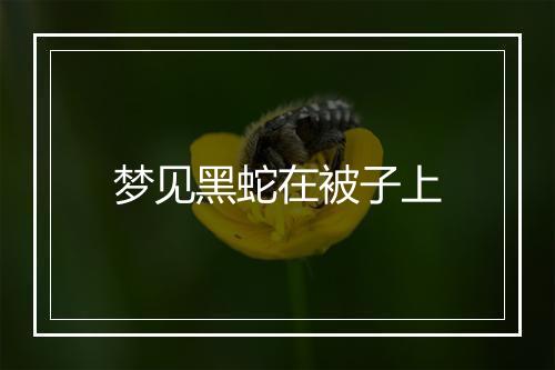 梦见黑蛇在被子上