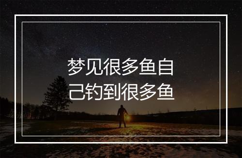 梦见很多鱼自己钓到很多鱼