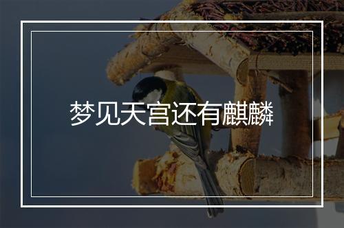 梦见天宫还有麒麟