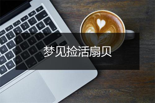 梦见捡活扇贝