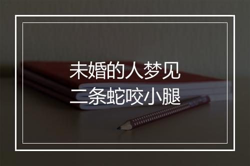 未婚的人梦见二条蛇咬小腿