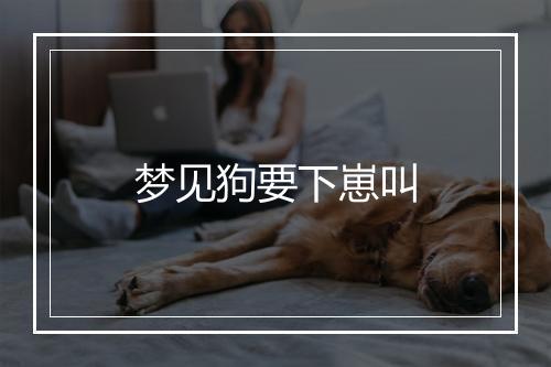 梦见狗要下崽叫