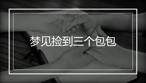 梦见捡到三个包包