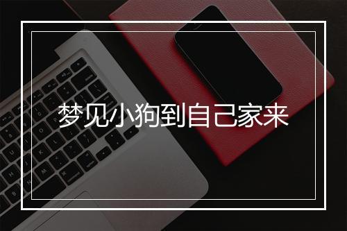 梦见小狗到自己家来