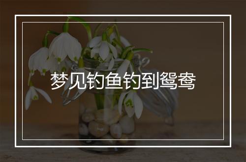 梦见钓鱼钓到鸳鸯