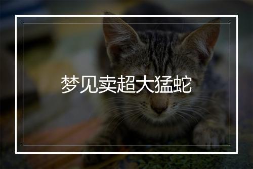 梦见卖超大猛蛇