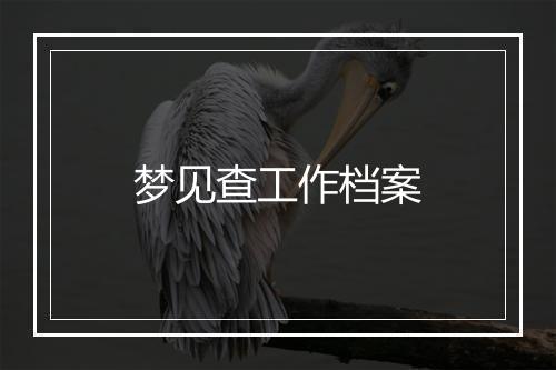 梦见查工作档案