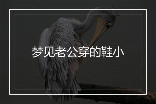 梦见老公穿的鞋小