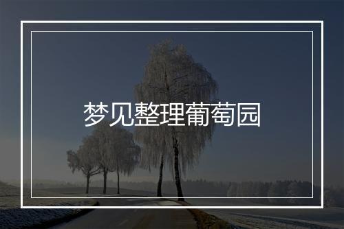 梦见整理葡萄园