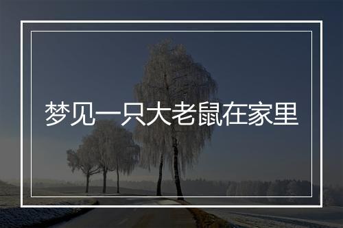 梦见一只大老鼠在家里