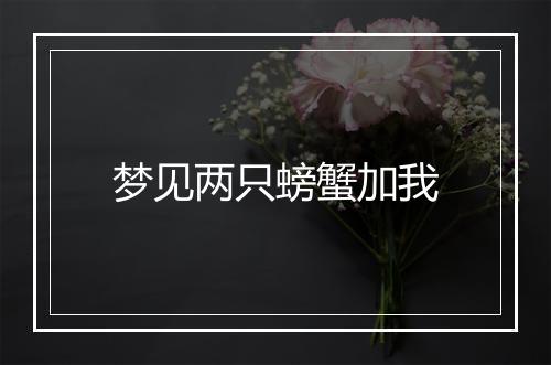 梦见两只螃蟹加我