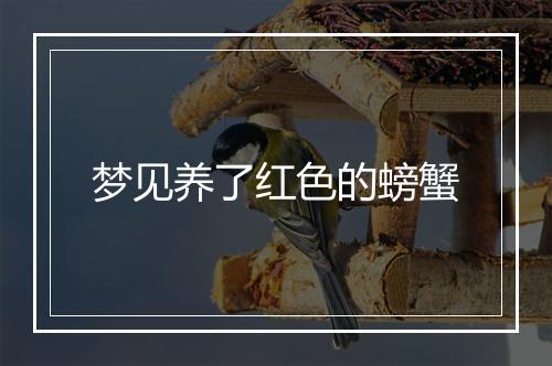 梦见养了红色的螃蟹