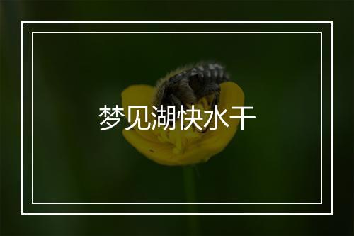 梦见湖快水干