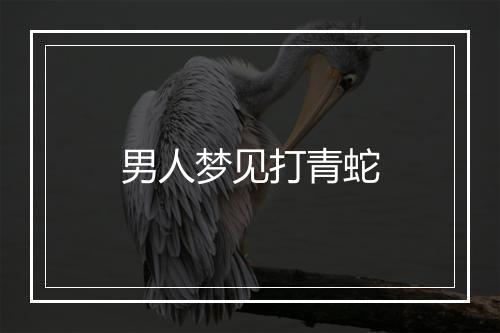 男人梦见打青蛇