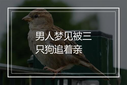 男人梦见被三只狗追着亲