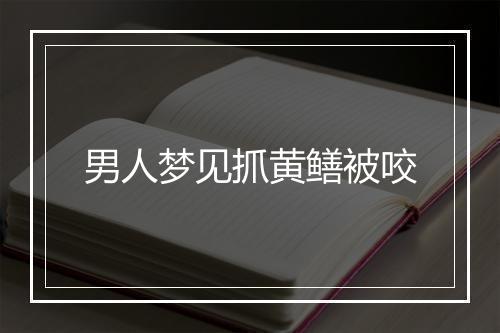 男人梦见抓黄鳝被咬