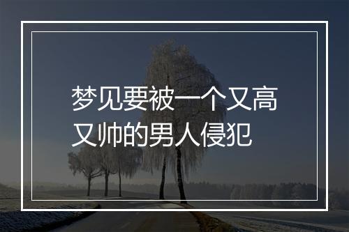 梦见要被一个又高又帅的男人侵犯