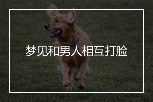 梦见和男人相互打脸